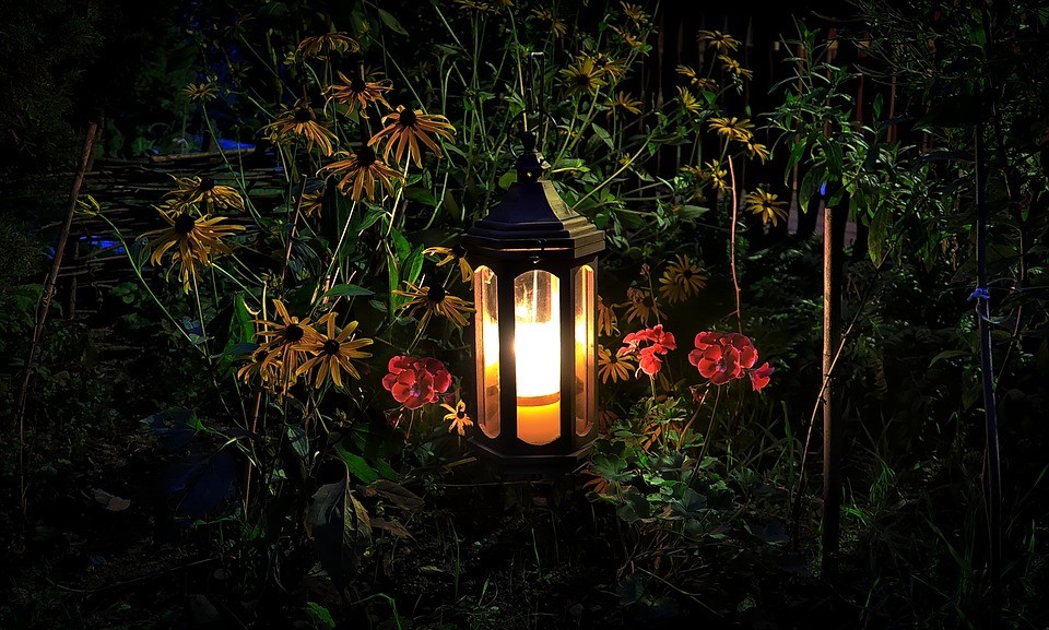 Lantern in garden