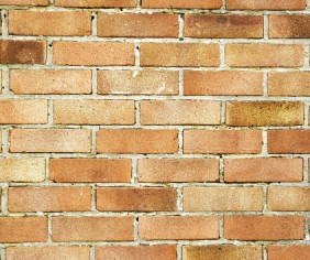 What do I need to know when choosing bricks?