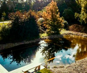 Case study: natural swimming pond